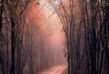 凯尔特(tè)人遭遇NBA赛程调整：29场全国直播被削减的(de)背后