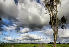 季后赛门票到(dào)手(shǒu)，迈阿密国际客场挑战“平局大师”多(duō)伦多(duō)