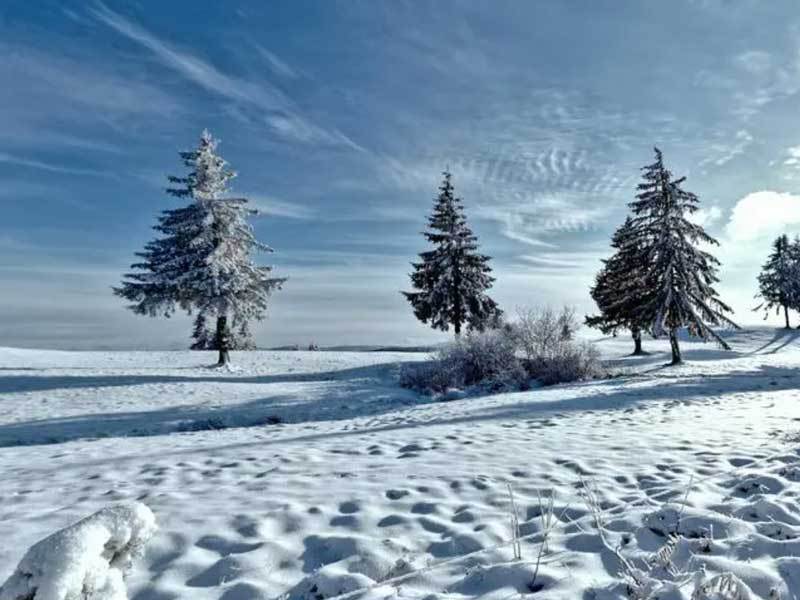 校園(yuán)籃(lán)球三分大赛举行，选手精准投(tóu)籃(lán)