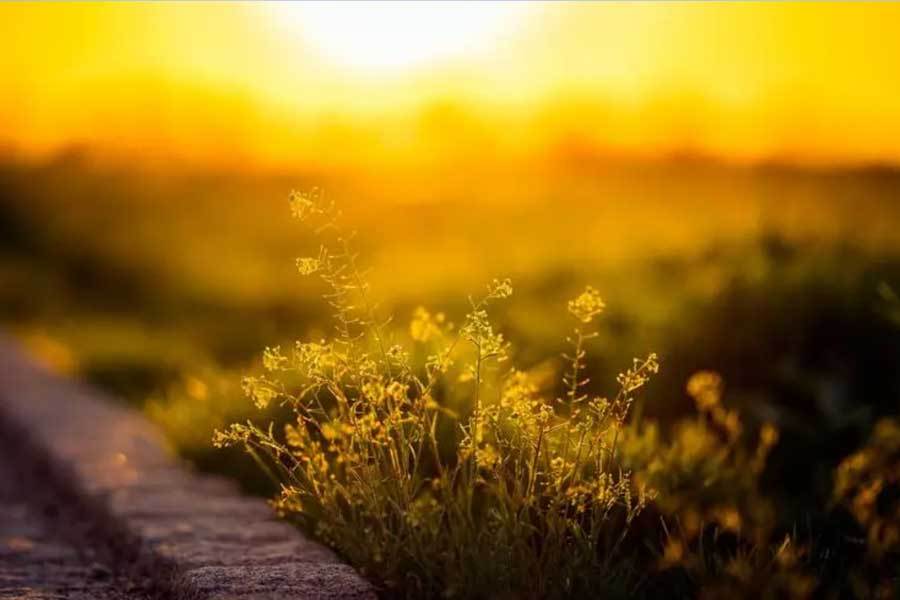 校園(yuán)籃(lán)球三分大赛举行，选手精准投(tóu)籃(lán)