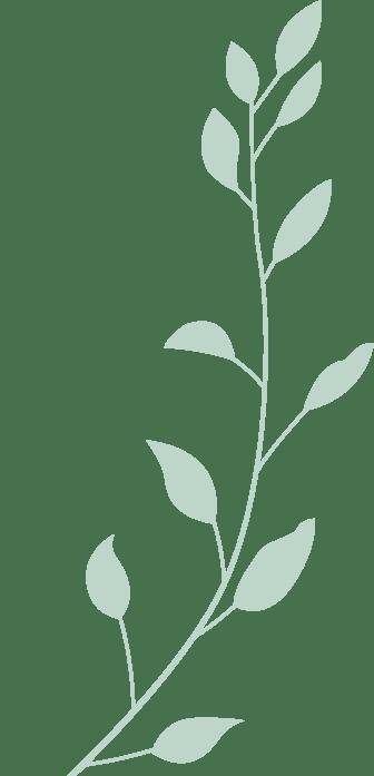 见面会精(jīng)彩(cǎi)集锦新鲜出炉！